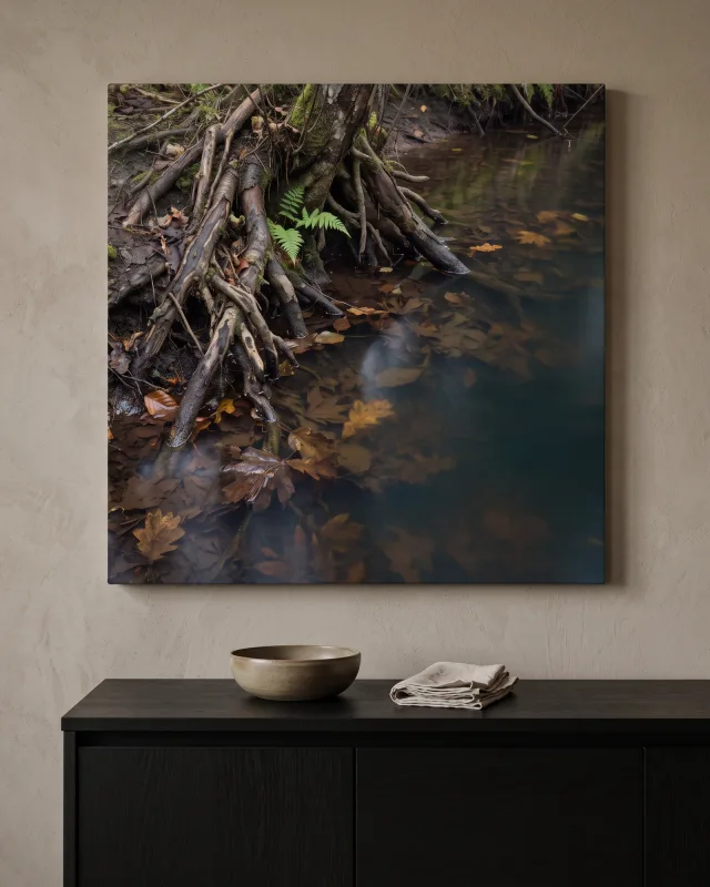 Canvas print – Tree Roots Beside a Forest Stream